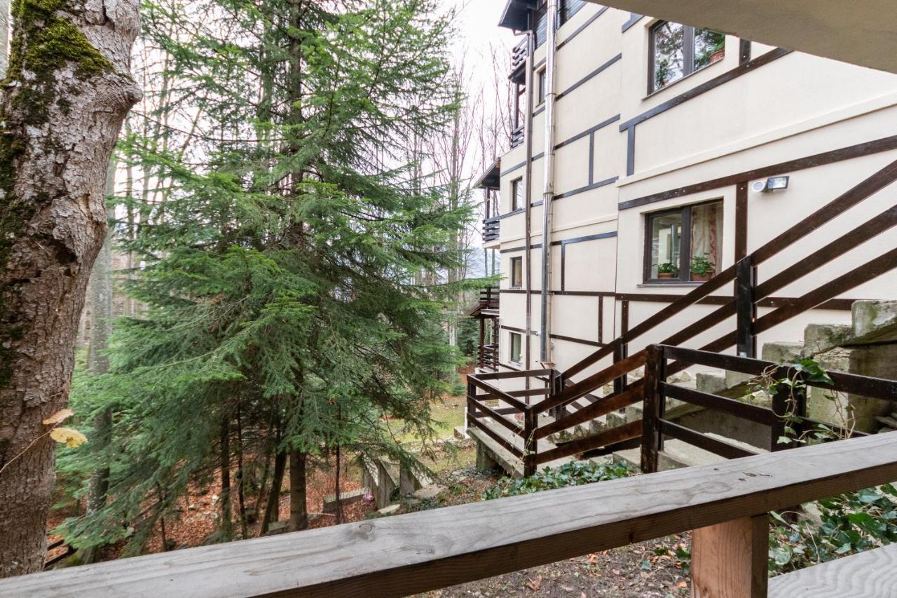 Pension Master Sinaia Exterior foto