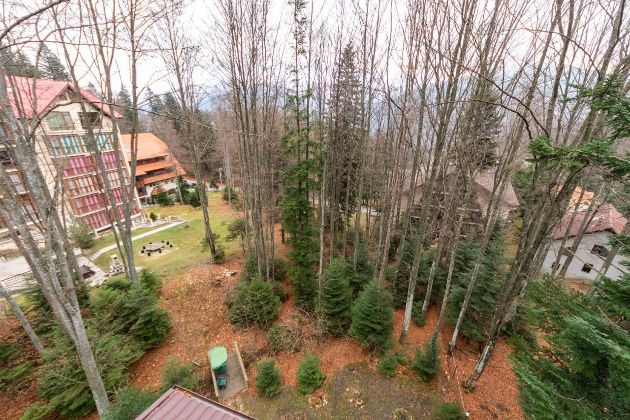 Pension Master Sinaia Exterior foto